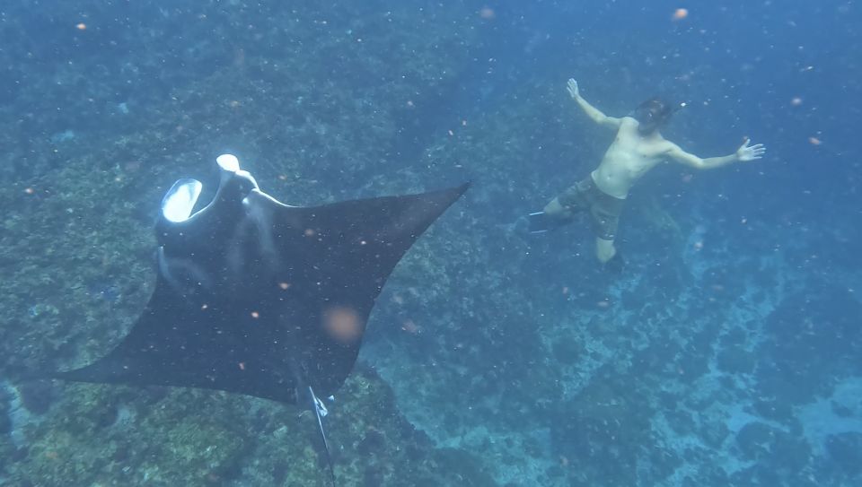 Brunswick Heads: Snorkeling Byron Bay Tour at Julian Rocks - Recap