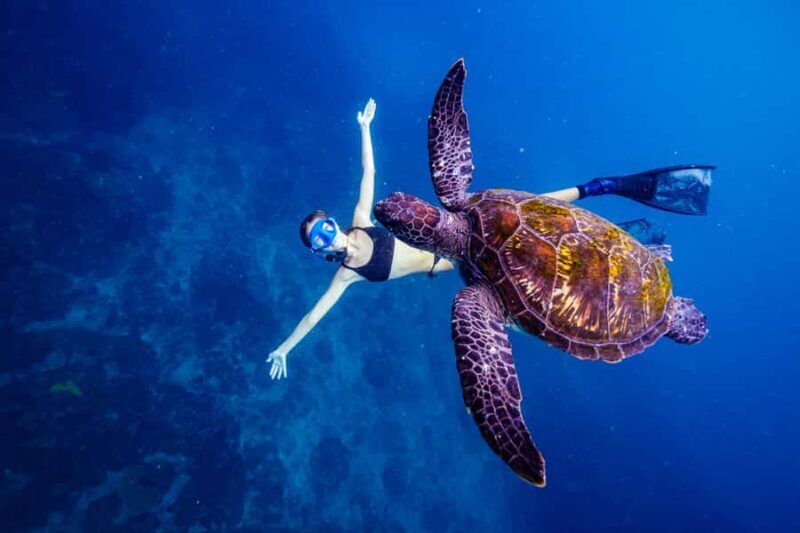 Brunswick Heads: Snorkelling in Byron Bay - What to Expect on the Snorkelling Tour