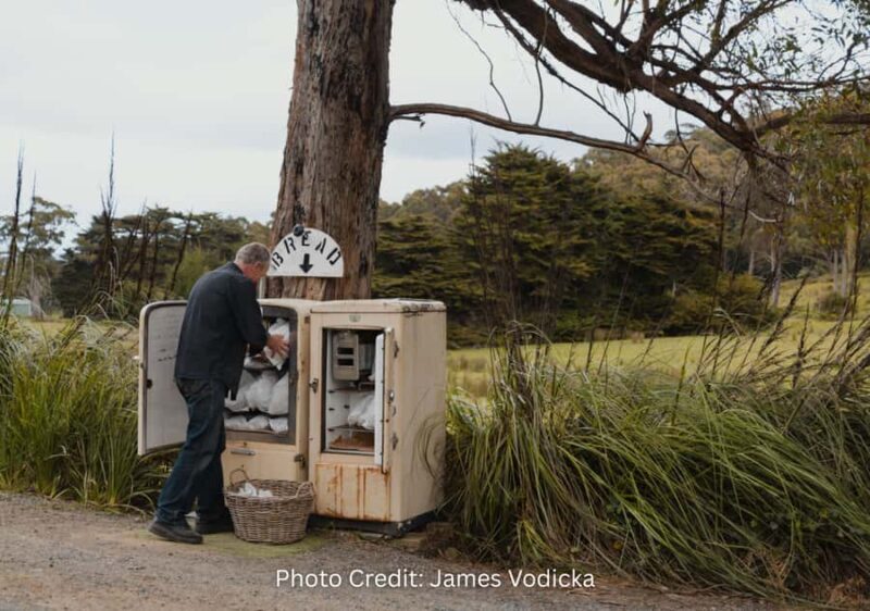 Bruny Island: Guided Sightseeing Tour (8hr Private Tour) - Key Points