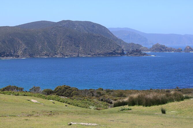 Bruny Island Small-Group Guided Tour From Hobart - FAQ: Practical Questions About the Tour