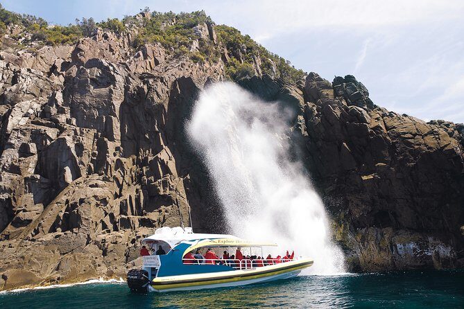 Bruny Island Wilderness Cruise from Adventure Bay, Bruny Island - Introduction: What’s This Experience All About?