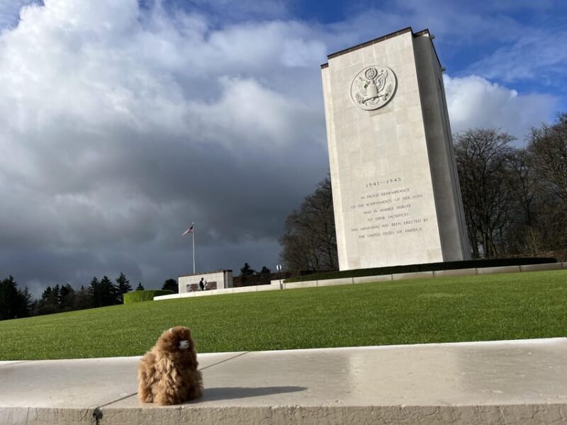 Brussels: Battle of the Bulge Day Tour with Private Guide - Who Should Consider This Tour?  