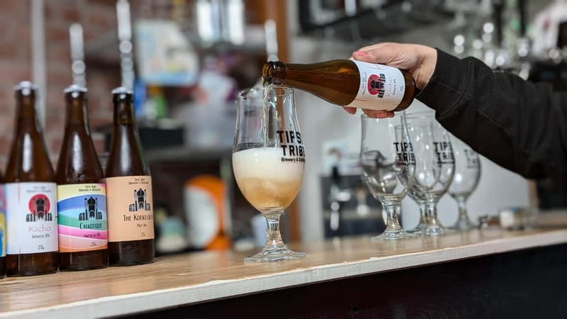 Brussels: beer tasting workshop in a micro brewery - Key Points