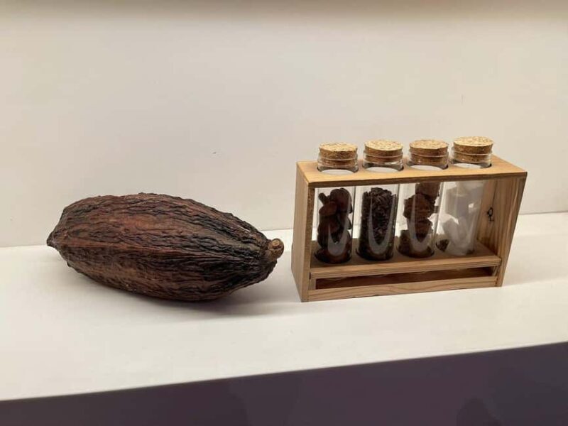 Brussels: Chocolate Appreciation and Tasting Walking Tour - Key Points