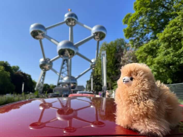 Brussels Day Trip from Paris or Amsterdam by Mini-Van - The Experience in Detail