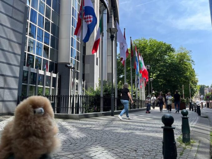 Brussels Day Trip From Paris or Amsterdam by Mini-Van - Accessibility Options