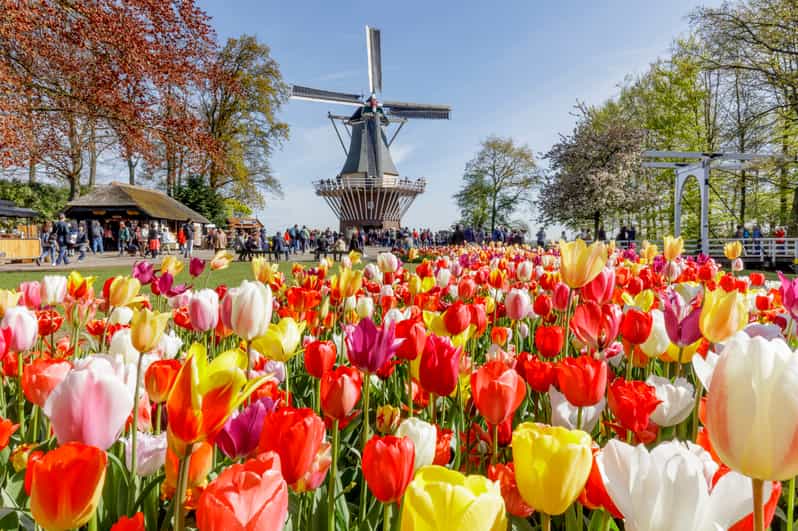 Brussels: Holland Keukenhof & Kinderdijk Guided Day Tour - Practical Tips for Travelers