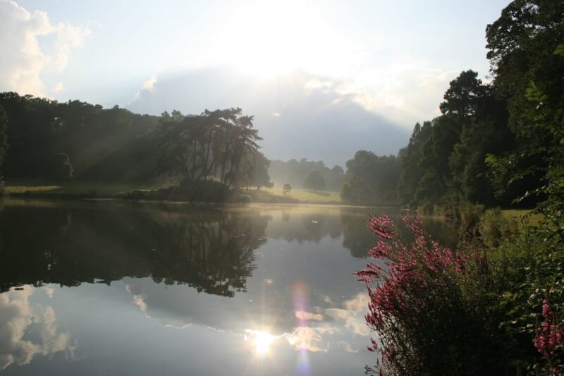 Brussels: Meise Botanic Garden Entry Ticket - Activities and Experiences