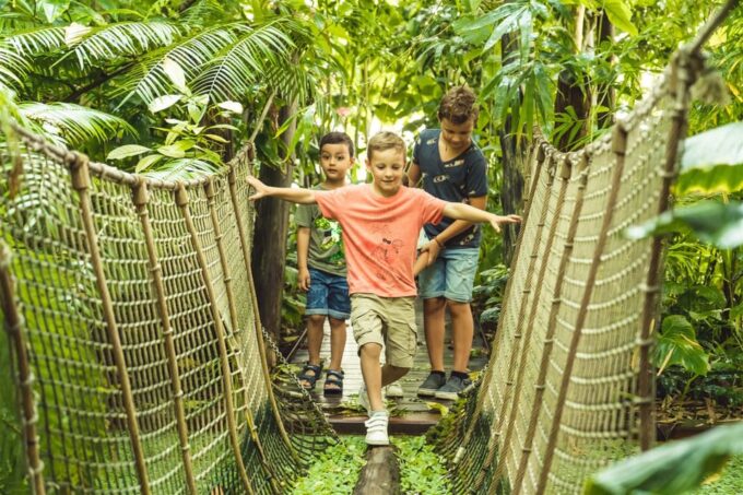 Brussels: Meise Botanic Garden Entry Ticket - Visitor Ratings and Feedback