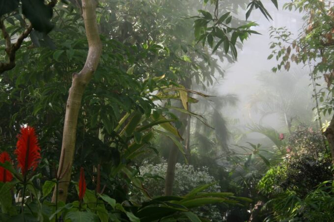 Brussels: Meise Botanic Garden Entry Ticket - Frequently Asked Questions