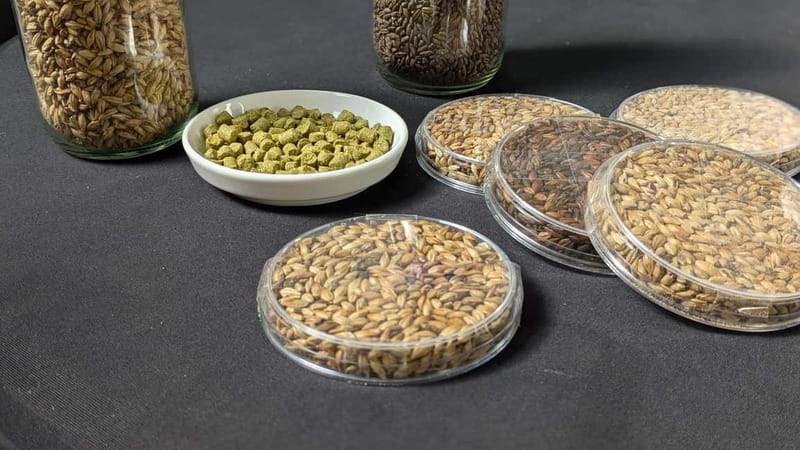 Brussels: micro brewery & distillery tour + beer tasting - Who Will Love This Tour?
