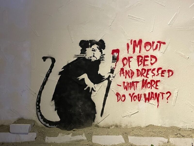 Brussels: The World of Banksy Museum Permanent Exhibition - The Experience from the Perspective of Visitors