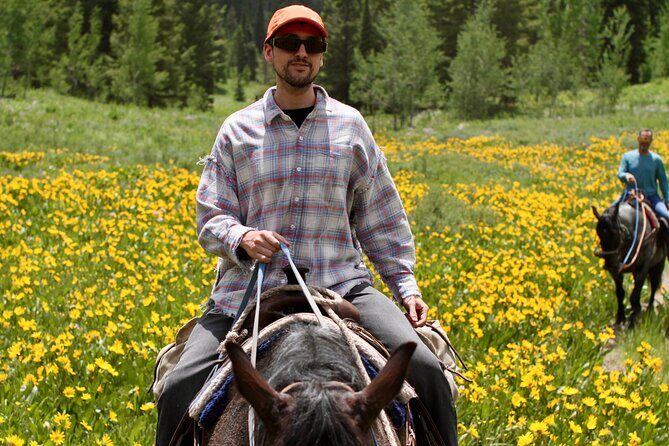Bryans Flat View Horseback Ride - Exploring the Bryans Flat View Horseback Ride