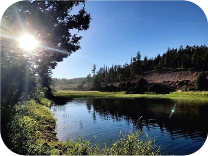 Bryce Canyon: 2-Hour, 4-Seat or 5-Seat ATV Rental - Who Will Love This Experience?