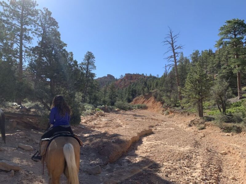 Bryce Canyon City: Horseback Riding Tour in Red Canyon - The Guides and Their Role in Making the Ride Special