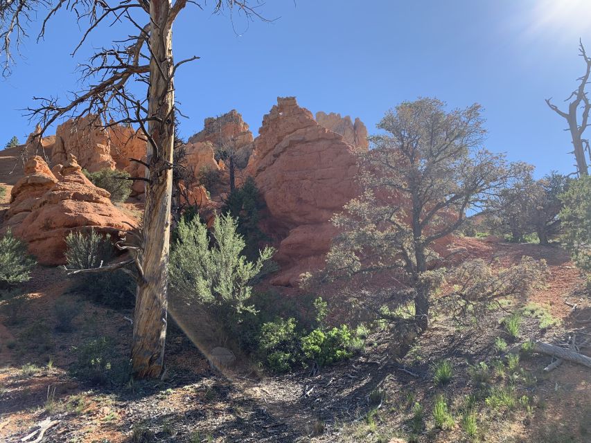 Bryce Canyon City: Horseback Riding Tour in Red Canyon - Rider Eligibility and Restrictions