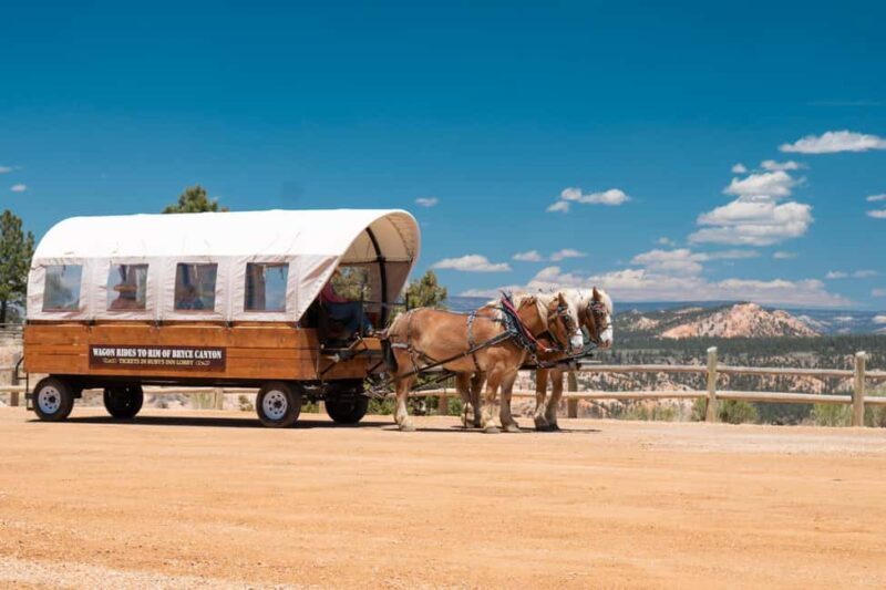 Bryce Canyon City: Wagon Ride to the Rim of Bryce Canyon - Who Will Love This Tour?