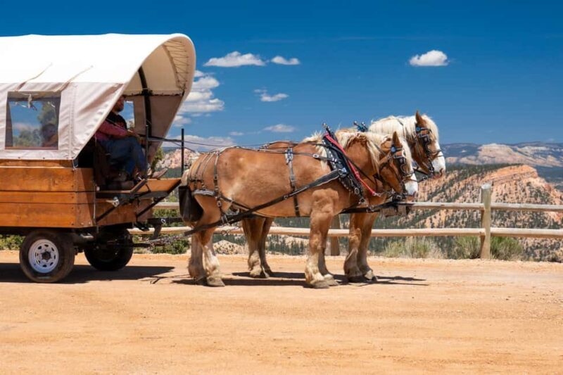 Bryce Canyon City: Wagon Ride to the Rim of Bryce Canyon - FAQs