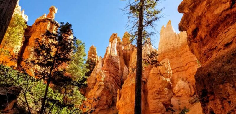 Bryce Canyon Hiking Challenge - What to Expect from the Bryce Canyon Hiking Challenge