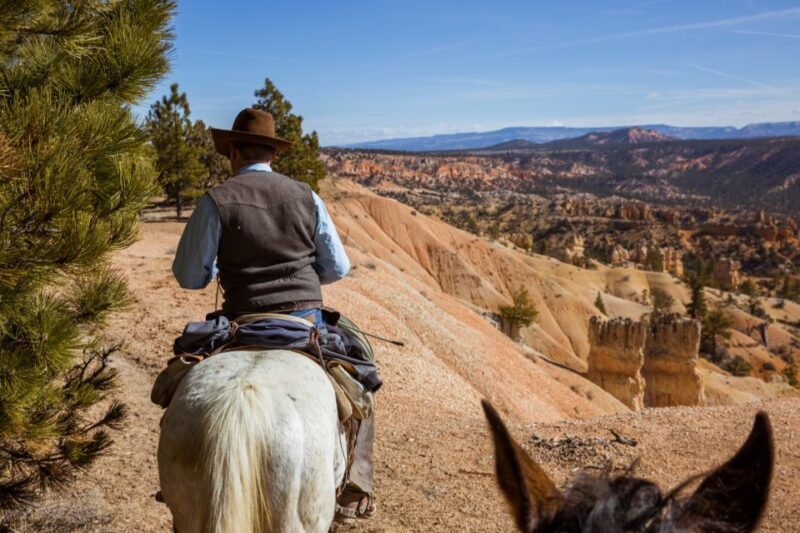 Bryce Canyon: Horseback Ride in the Dixie National Forest - An Overview of the Horseback Ride Experience