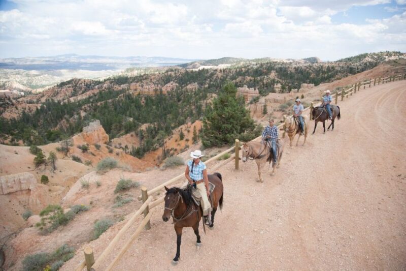 Bryce Canyon: Horseback Ride in the Dixie National Forest - What You Might Not Love
