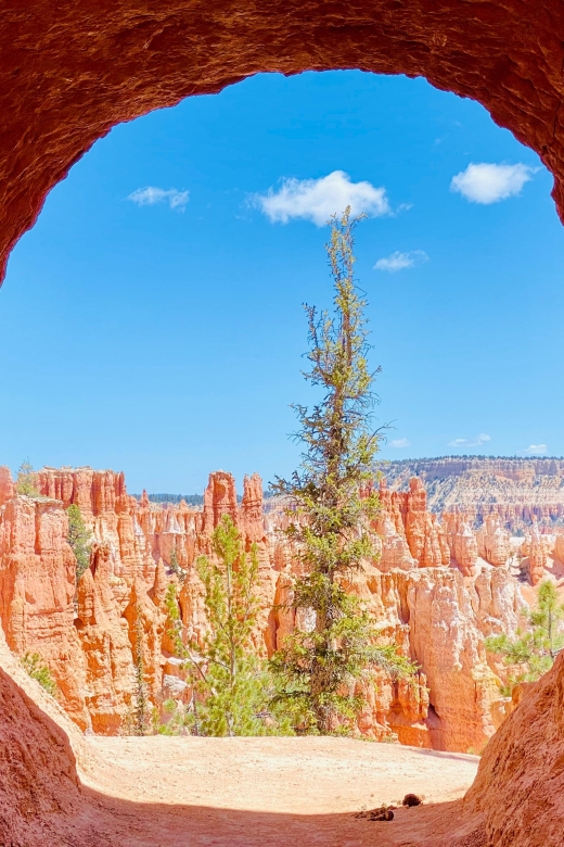 Bryce Canyon National Park: Guided Hike and Picnic - Frequently Asked Questions