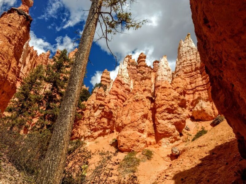 Bryce Canyon National Park Hiking Experience - What Makes This Tour Stand Out?
