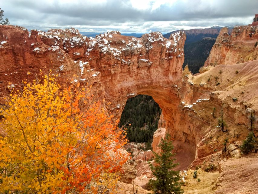 Bryce Canyon National Park Hiking Experience - Learning From the Expert Guide