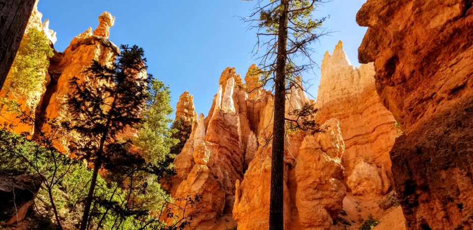 Bryce Canyon National Park Hiking Experience - Tour Duration and Flexibility