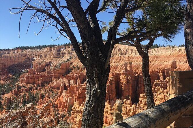 Bryce Canyon Private Tour - Who is This Tour Best For?