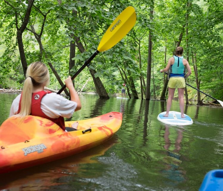 Bryson City: Fontana Lake Guided Kayak Tour - Key Points
