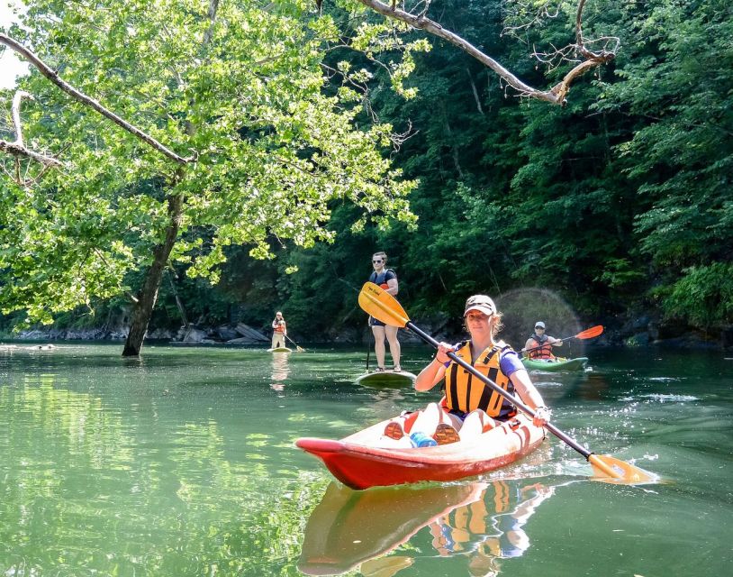 Bryson City: Fontana Lake Guided Kayak Tour - Inclusions