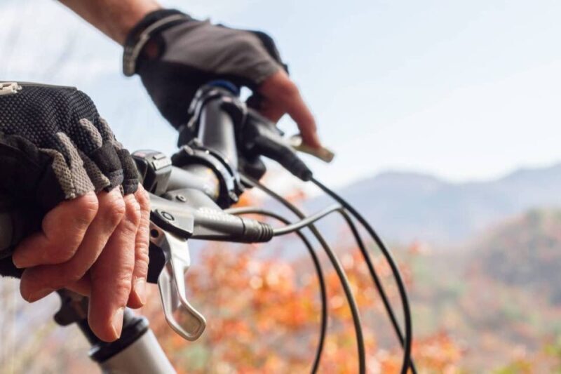 Bryson City: Tsali Recreation Area Guided Mountain Bike Tour - An Authentic Ride Through North Carolina’s Natural Beauty