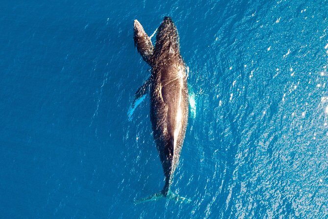 Buccaneer Explorer - Dry Season - Practical Tips for Travelers