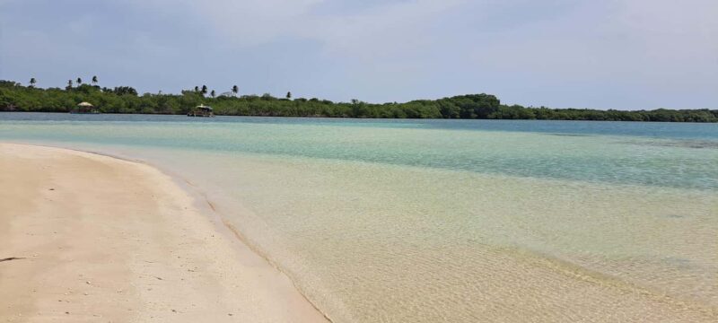 Buccoo Reef and Nylon Pool Adventure - An Overview of the Experience