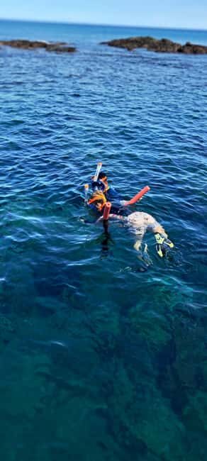 Buccoo Reef and Nylon Pool Adventure - Summing It Up: Who Will Love This Tour?