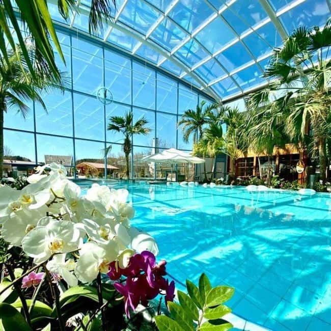 Bucharest: All Day Therme with Elysium Experience - Key Points