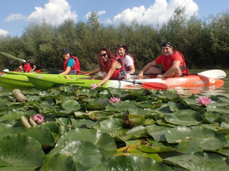 Bucharest: Arges River Kayaking Tour with Transfers - Key Points