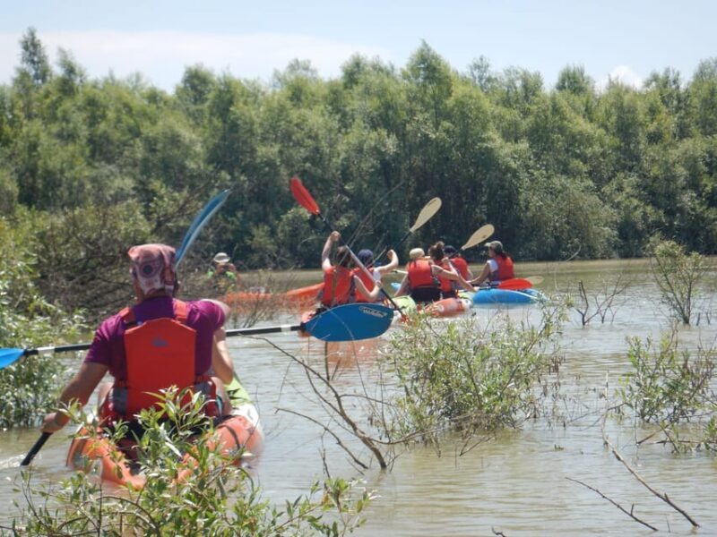 Bucharest: Arges River Kayaking Tour with Transfers - Practical Tips for the Best Experience
