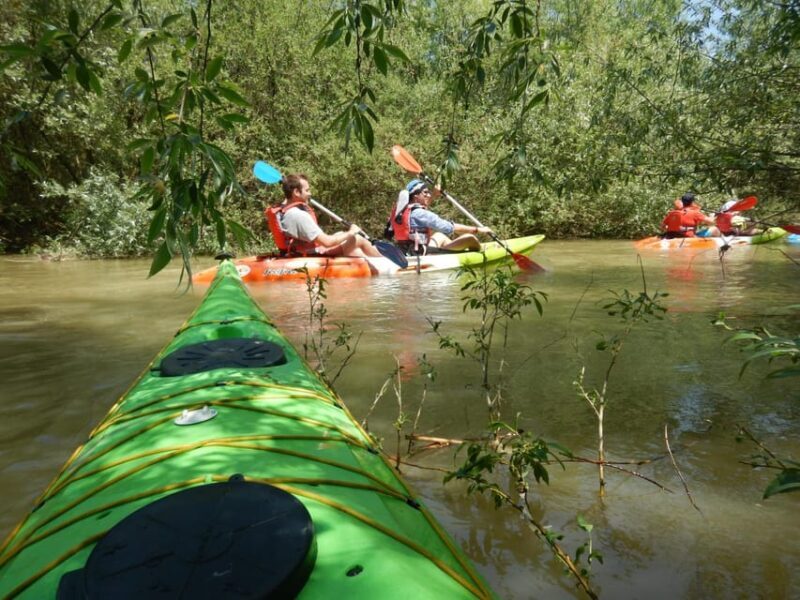 Bucharest: Arges River Kayaking Tour with Transfers - What People Are Saying