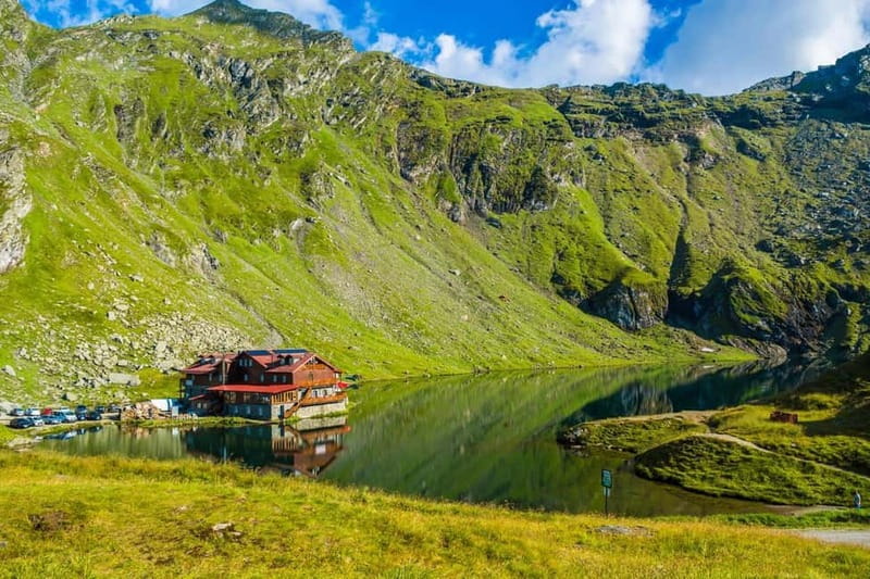 Bucharest: Bears Safari on Top Gear Road Transfagarasan - Key Points