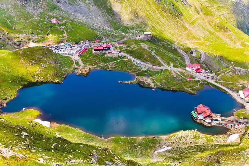 Bucharest: Bears Safari on Top Gear Road Transfagarasan - Who Should Consider This Tour?