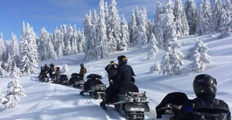 Bucharest: Carpathian Snowmobile Adventure Tour - Snowmobiling through the Forests
