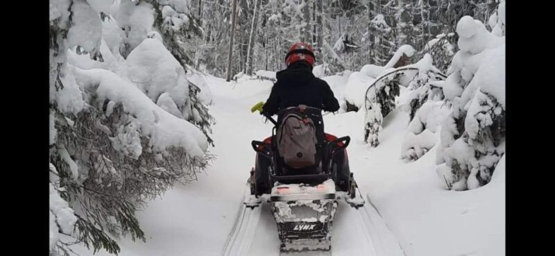Bucharest: Carpathian Snowmobile Adventure Tour - Culinary and Cultural Experiences