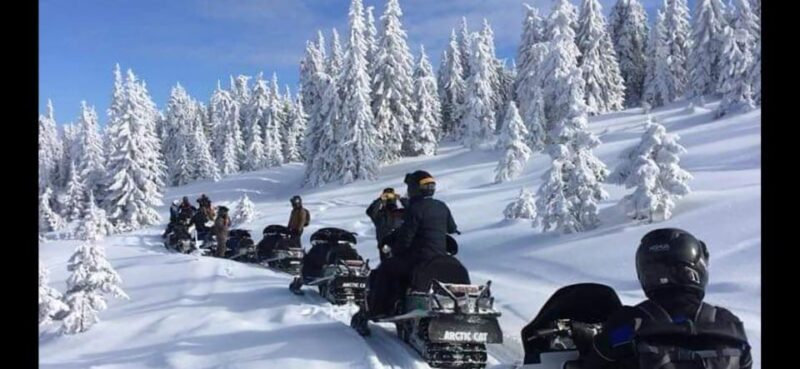 Bucharest: Carpathian Snowmobile Adventure Tour - What to Prepare and Keep in Mind