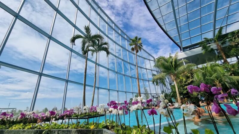 Bucharest: City Tour and Therme Spa Day Trip with Transfer - Key Points