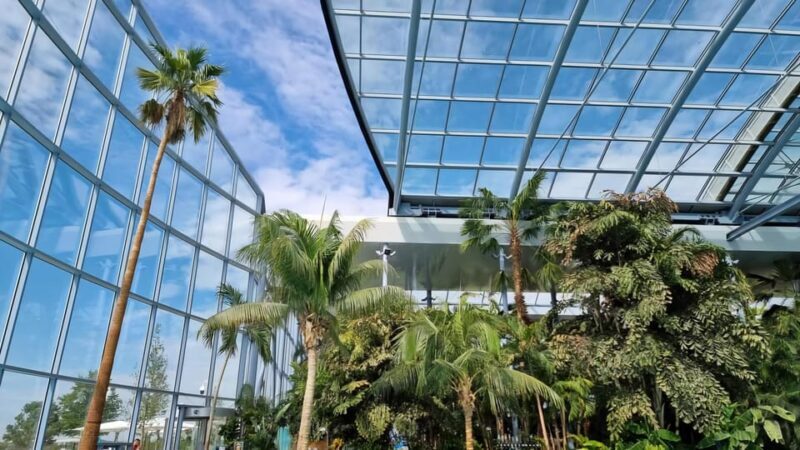 Bucharest: City Tour and Therme Spa Day Trip with Transfer - Discovering Bucharest: What to Expect