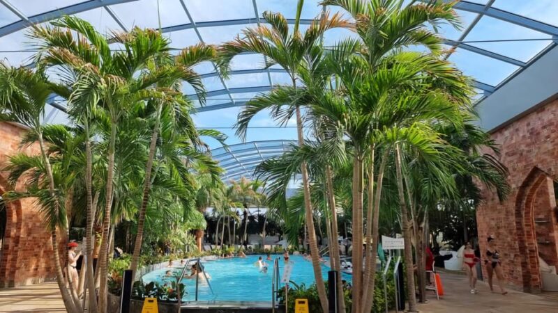 Bucharest: City Tour and Therme Spa Day Trip with Transfer - Practical Details and Tips