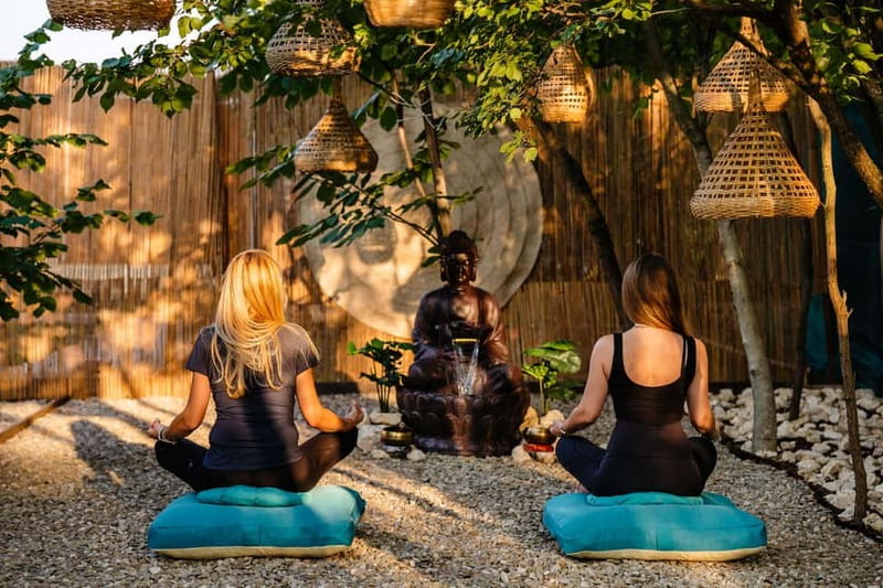 Bucharest: Day Trip at the The Tribe Alpaca Retreat - The Experience in Detail