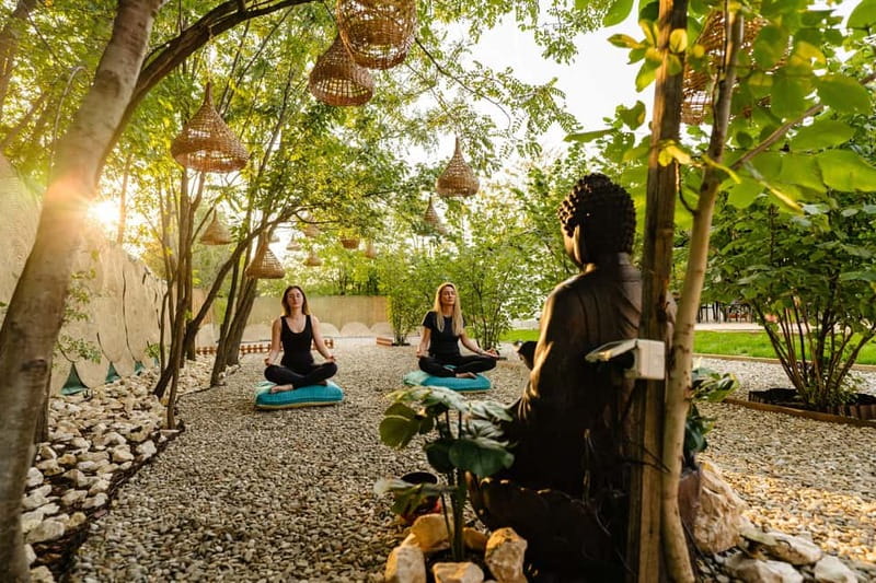 Bucharest: Day Trip at the The Tribe Alpaca Retreat - Frequently Asked Questions